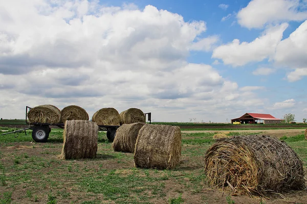 Hay Rollos Listos Para Transportar Los Campos Serbia Región Vojvodina — Foto de Stock