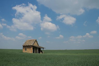 Vojvodina (Sırbistan), mavi gökyüzü ve küçük rustik ev ile yeşil çim güzel manzara