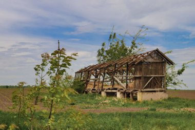 Voyvodina (Sırbistan) kırsal tarafında terk edilmiş eski silo, Kikinda kenti yakınlarında