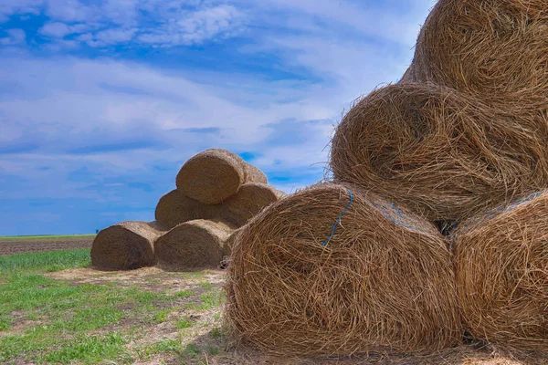 Rotoli Fieno Nella Campagna Della Vojvodina Serbia — Foto Stock