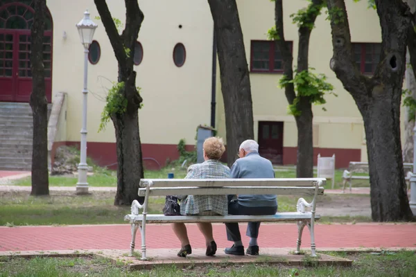 Pareja Romántica Mayor Sentada Banco Parque Región Vojvodina Serbia Cerca —  Fotos de Stock