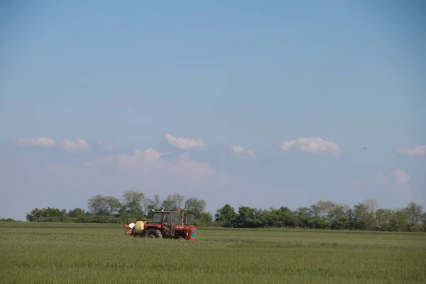 Roter Traktor Auf Landwirtschaftlichen Feldern Der Vojvodina Serbien Der Nähe — Stockfoto