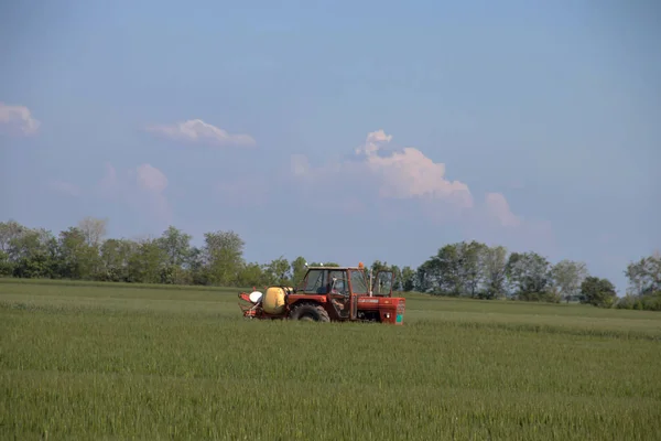 Червоний Трактор Сільськогосподарських Полях Воєводина Сербія Біля Міста Зреняну — стокове фото