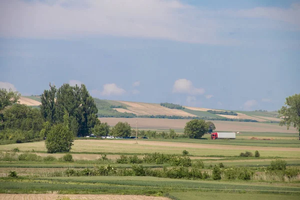 Rét Vajdaságban Szerbia Termesztett Kukorica Zöldség Zrenjanin Város Közelében — Stock Fotó
