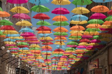 Romanya'nın Timisoara şehrinin sokaklarında renkli şemsiyesüslemeleri