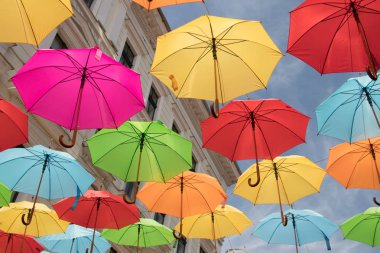 Romanya'nın Timisoara şehrinin sokaklarında renkli şemsiyesüslemeleri