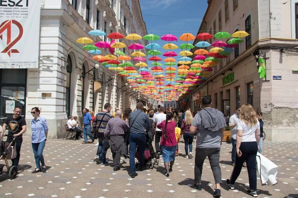 Bunte Regenschirme Dekoration Den Straßen Der Stadt Timisoara Rumänien — Stockfoto