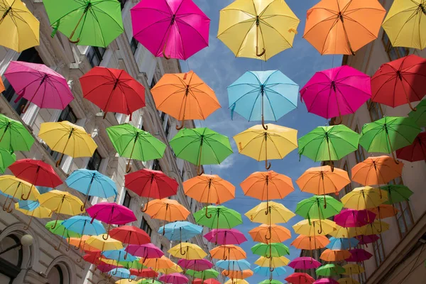 罗马尼亚蒂米索拉市街道上五颜六色的雨伞装饰 — 图库照片