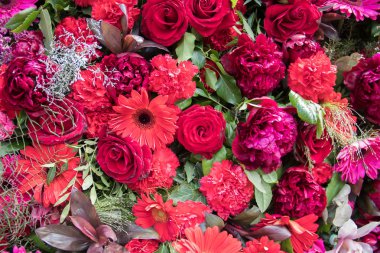 1000 çiçekten yapılmış inanılmaz güzel duvar