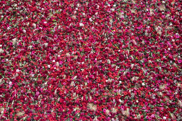 Otroligt Vacker Vägg Gjord 1000 Blommor — Stockfoto