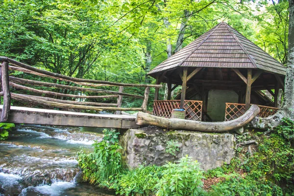 Spara Miljön Vacker Grön Park Och Skog Med Vattenfall Och — Stockfoto