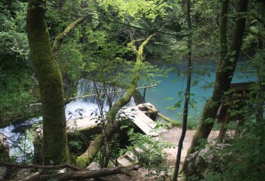 Kutsal mavi su rengi ve Krupajsko Vrelo (Krupaj bahar) adlı küçük şelale ile inanılmaz güzel dağ bahar, Krupaja Köyü yakın, Doğu Sırbistan 