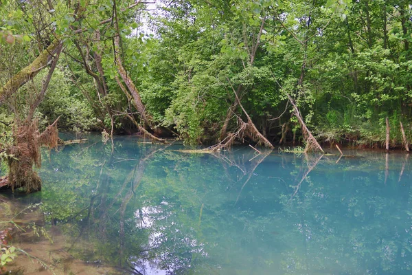 Source Montagne Étonnamment Belle Avec Aquarelle Bleue Céleste Petite Cascade — Photo