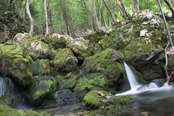 Малий Весняний Каскад Між Скелями Деревами Горами Сербії — стокове фото