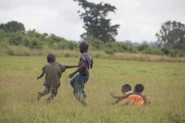Mozambik 'in kırsal kesiminde, Afrika köyünde oynayan Afrikalı çocuklar. 