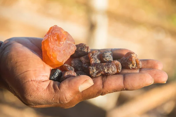 Kaçakçı kaçak değerli ve yarı değerli taşları yasadışı maden Mozambik 'te çıkardı.