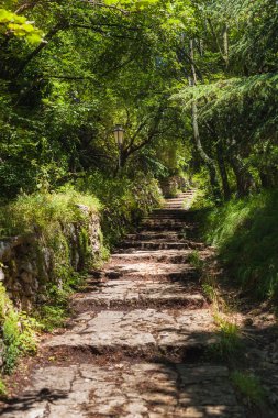 Bir geçit yeşil park kadar taş merdiven