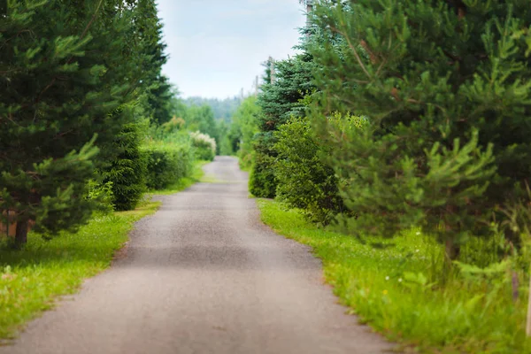 Lantlig väg på landsbygden i dusky väder — Stockfoto