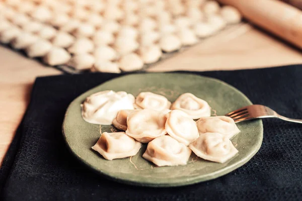 Homemade meat dumplings laying on plate, raw dumplings lie in a row in the background