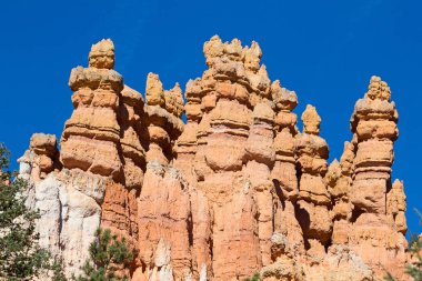 Bryce Canyon Ulusal Parkı Utah, ABD