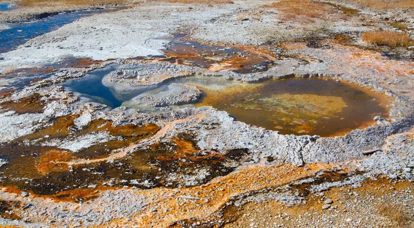 Piscina Água Quente Colorida Parque Nacional Yellowstone Eua — Fotografia de Stock