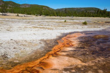 Renkli sıcak su havuzu Yellowstone Milli Parkı, ABD