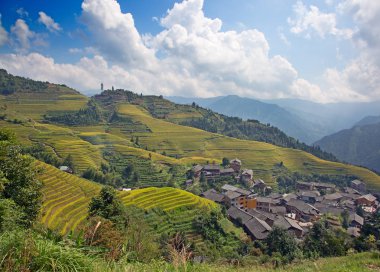 Longsheng pirinç terasları Guangxi, China Longsheng ilçesinde bulunan