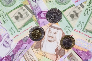 Suudi Arabistan Riyal para koleksiyonu