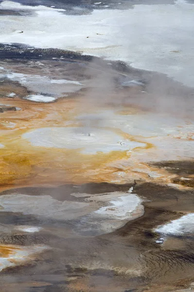 Norris Gejzír Medencében Yellowstone Nemzeti Park Amerikai Egyesült Államok — Stock Fotó