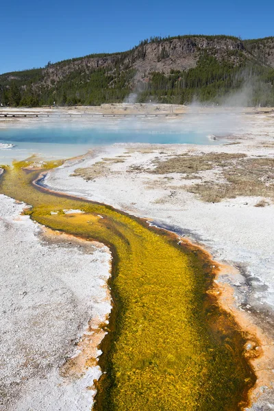 Piscina Água Quente Colorida Parque Nacional Yellowstone Eua — Fotografia de Stock