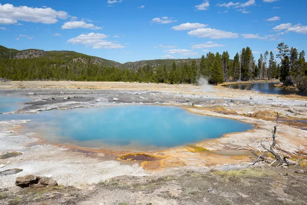 Färgglada Varmvatten Pool Yellowstone National Park Usa — Stockfoto