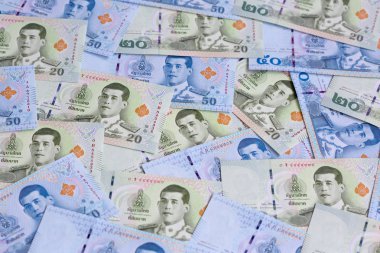 Tayland banknot (2018 yılında yayınlanan yeni tasarım)