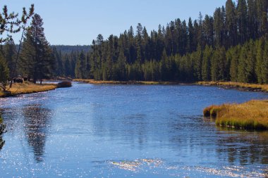 Yellowstone Ulusal Parkı 'ndaki Firehole Nehri
