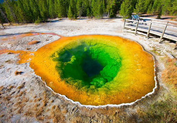 Colorful hot water pool in Yellowstone National park, USA