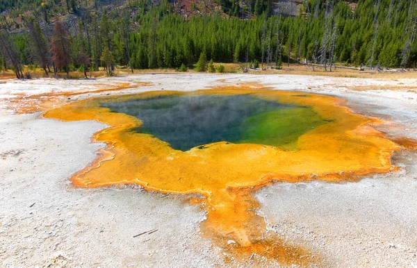 Färgglada Varmvatten Pool Yellowstone National Park Usa — Stockfoto