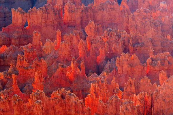 Bryce Canyon National Park Utah Usa — Stock Photo, Image