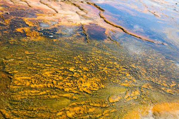 Kolorowe Ciepłej Wody Basenu Parku Narodowym Yellowstone Stany Zjednoczone Ameryki — Zdjęcie stockowe