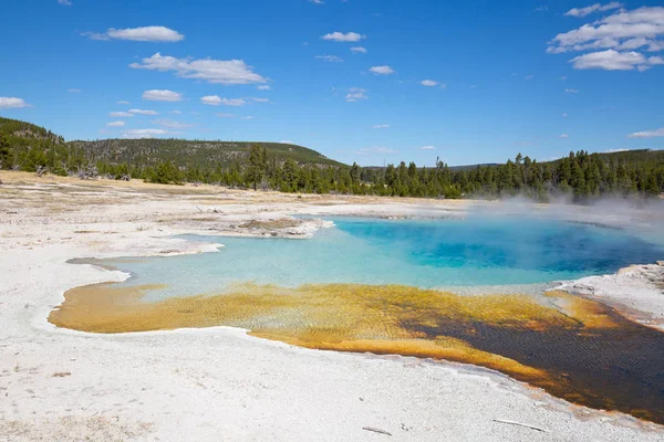 Colorida Piscina Agua Caliente Parque Nacional Yellowstone —  Fotos de Stock