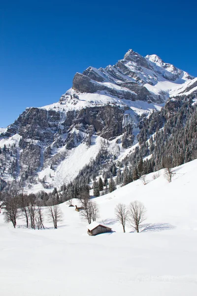 Wnter, İsviçre İsviçre Alpleri'nde rahat ev.
