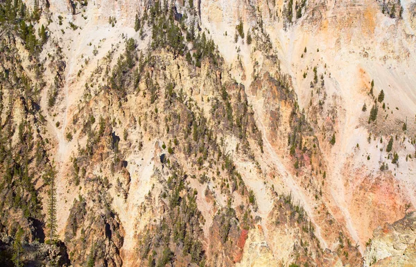 Canyon Nel Parco Nazionale Yellowstone Wyoming Stati Uniti — Foto Stock