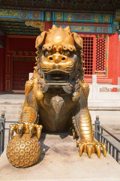 Beijing Chine Octobre 2017 Cité Interdite Musée Palais Palais Impérial — Photo