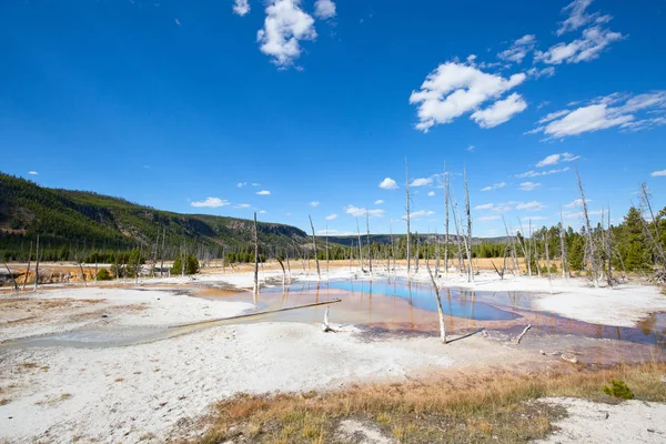 Renkli sıcak su havuzu Yellowstone Milli Parkı, ABD