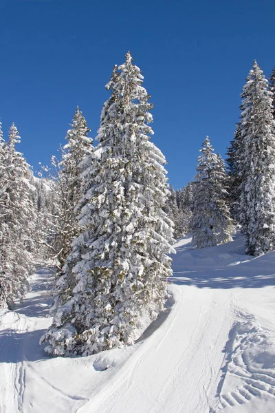 Kış Flumserberg, dağlarda. İsviçre.