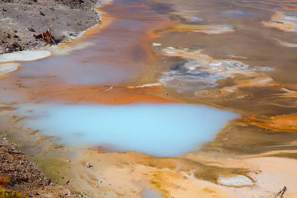 Renkli sıcak su havuzu Yellowstone Milli Parkı, ABD