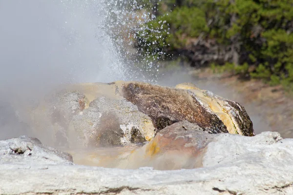 Erupção Geyser Antiga Área Fiel Parque Nacional Yellowstone Eua — Fotografia de Stock