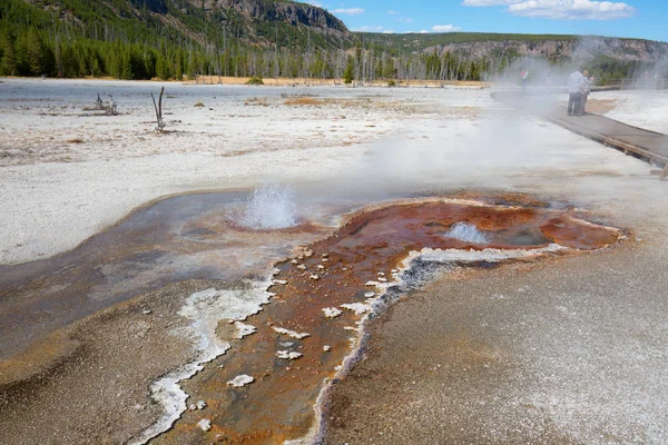 Colorida Piscina Agua Caliente Parque Nacional Yellowstone — Foto de Stock