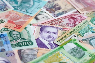 Afrika banknotlarının çeşitliliği