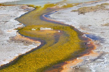 Yellowstone Ulusal Parkı 'ndaki kara kum gayzer havzası, ABD