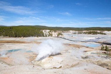 Norris gayzer havzası Yellowstone Ulusal Parkı, ABD