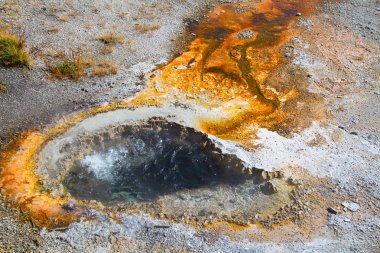 Yellowstone Ulusal Parkı, ABD 'de renkli sıcak su havuzu